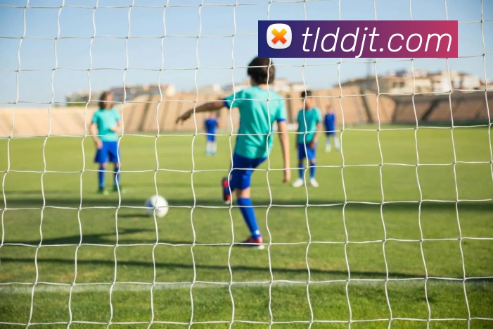 bobapp官网下载ios发展历程